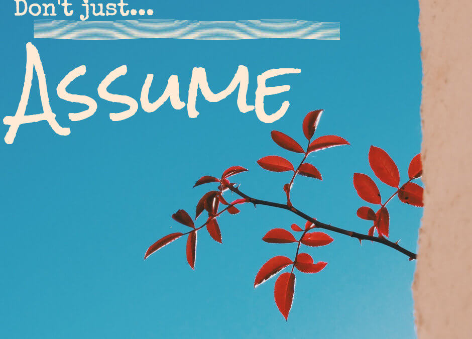 5 Ways to Avoid Voiceover Assumptions