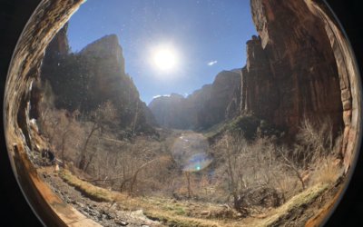 Zion Nat’l Park