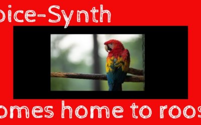 Polly Want a Crack at VO?