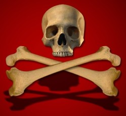 skull crossbones wallpaper-2